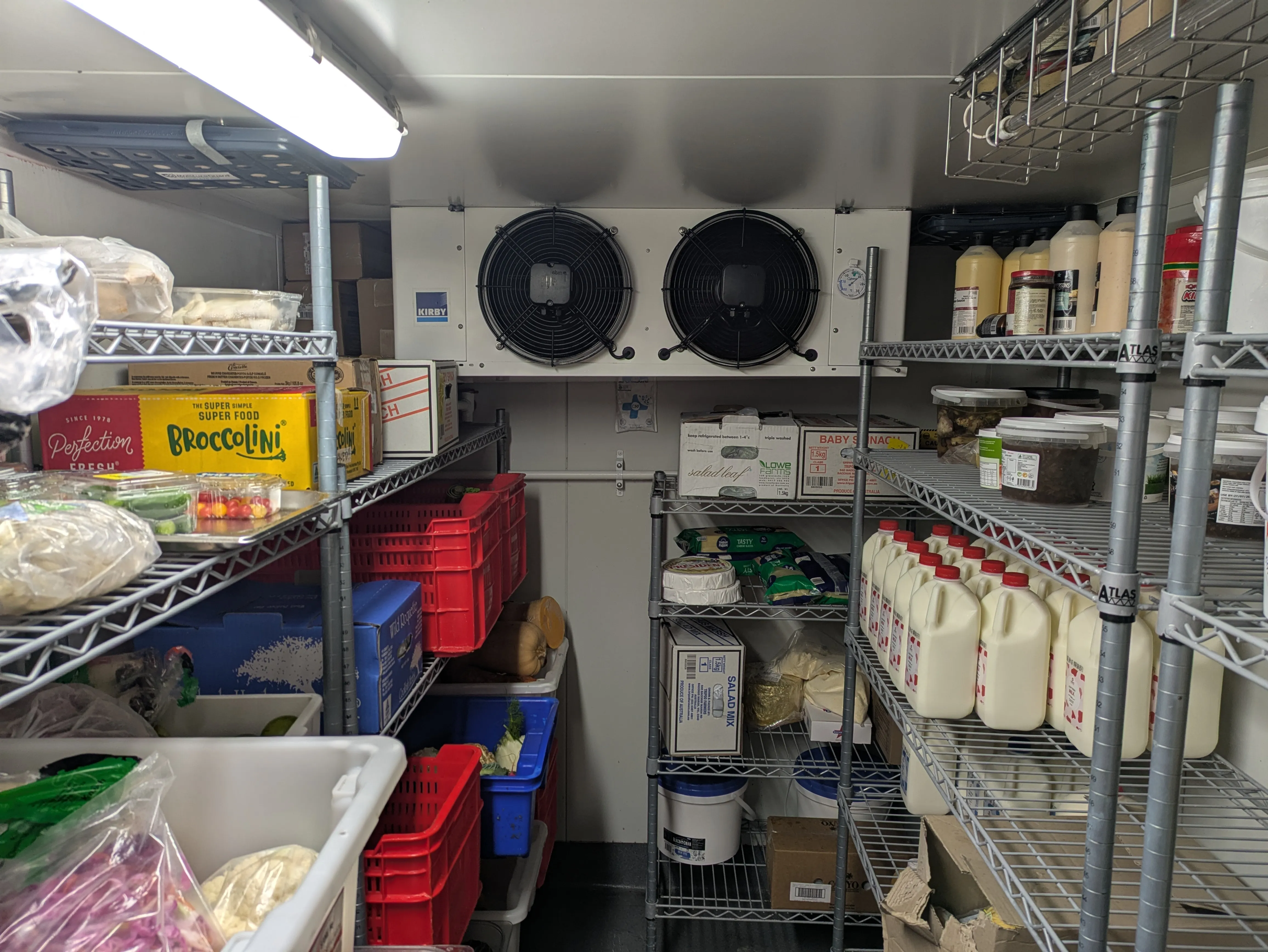 Commercial coolroom interior, clean and organised, ready for inspection.