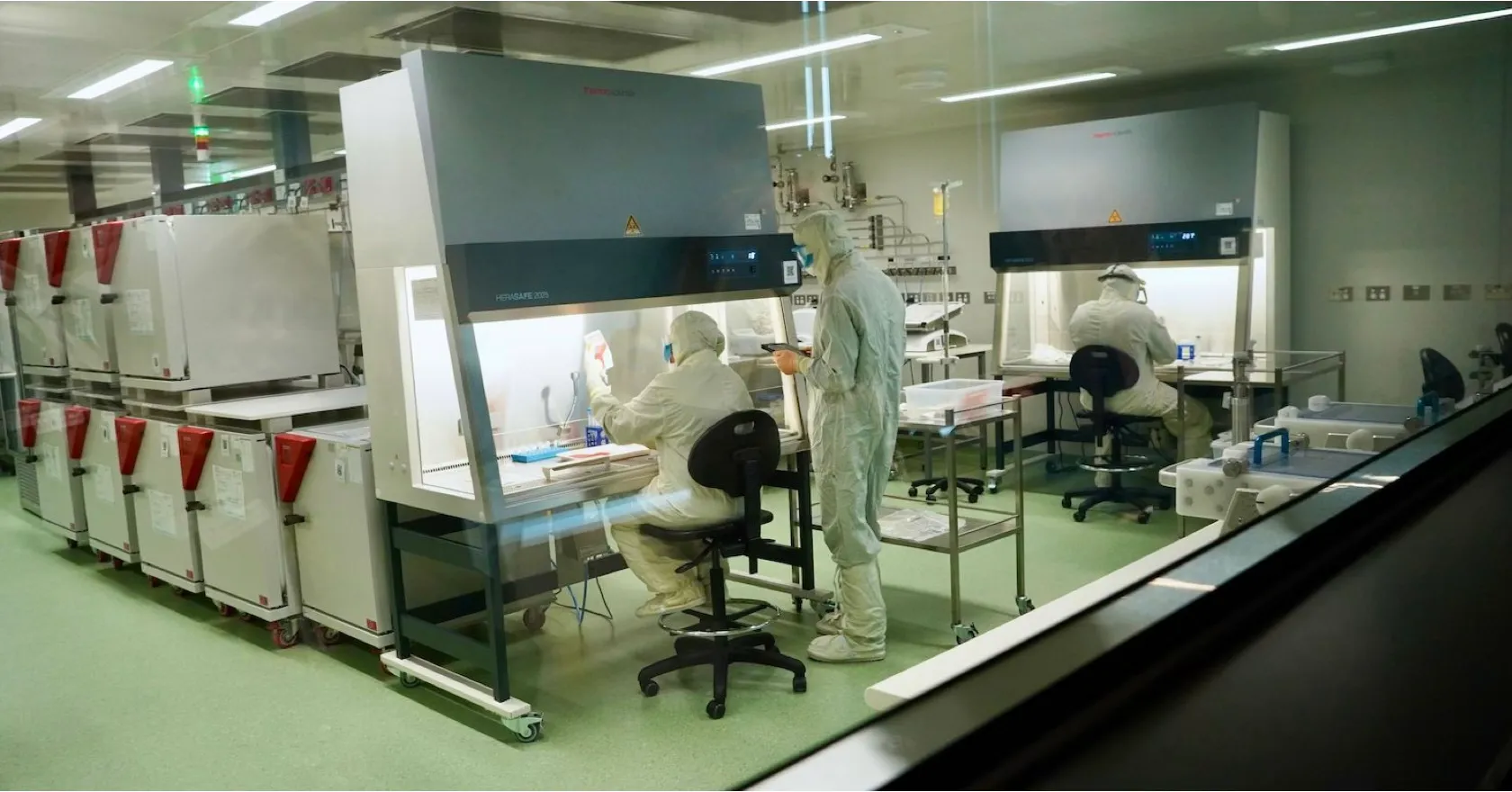 Peter MacCallum Cancer Centre laboratory.